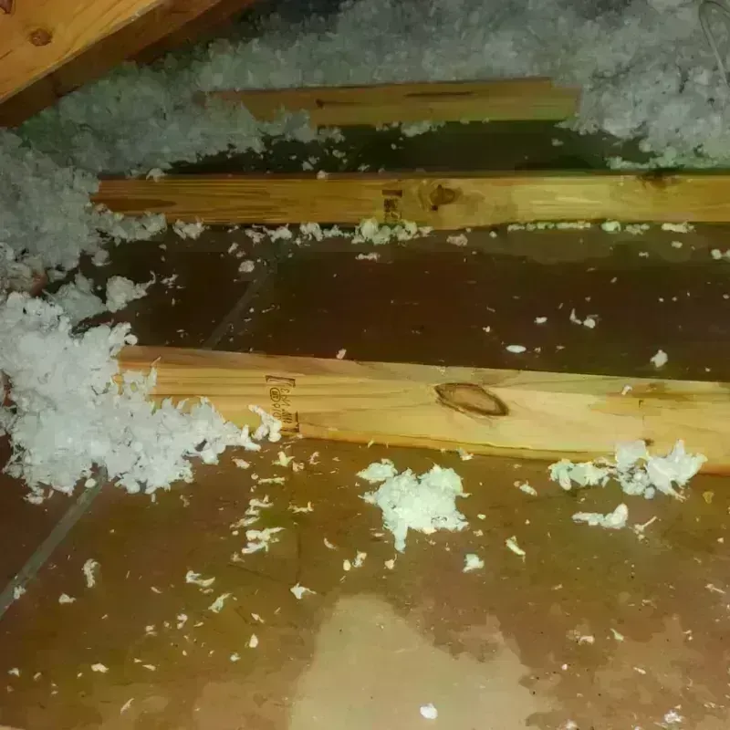 Attic Water Damage in Seneca, PA