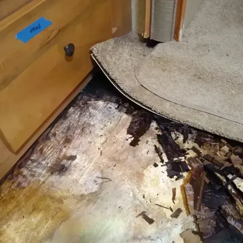 Wood Floor Water Damage in Seneca, PA